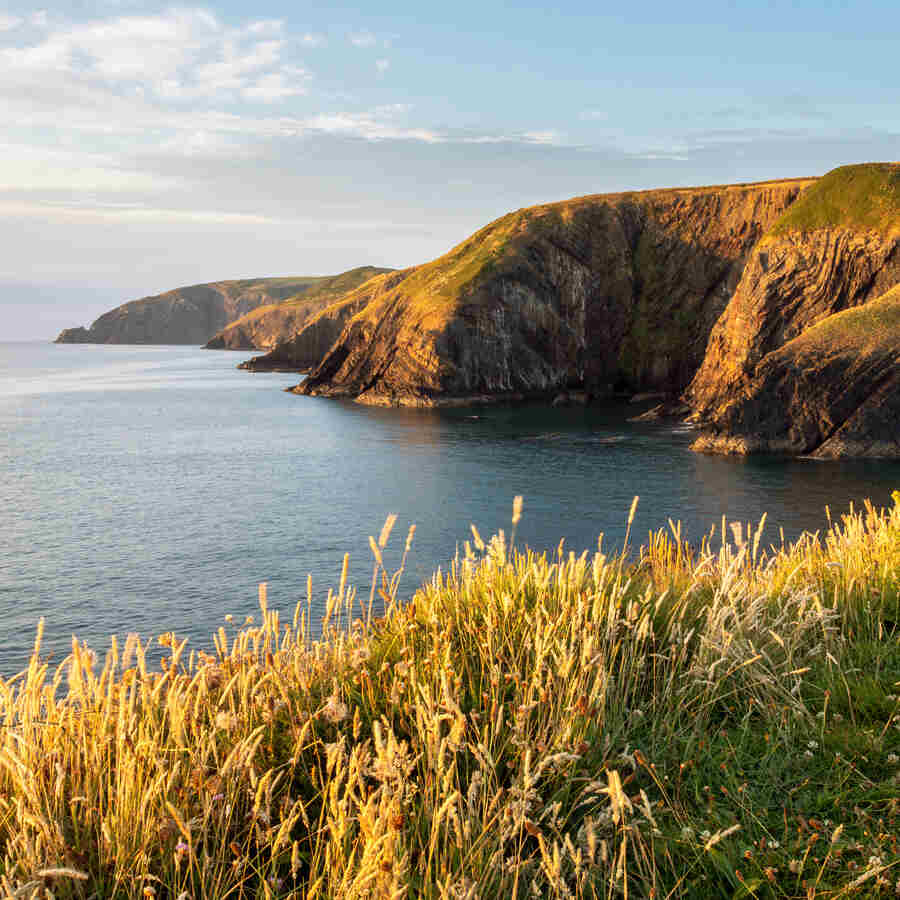 Pembrokeshire County Council Partners with TechnologyOne to Streamline Finance and Drive Digital Transformation